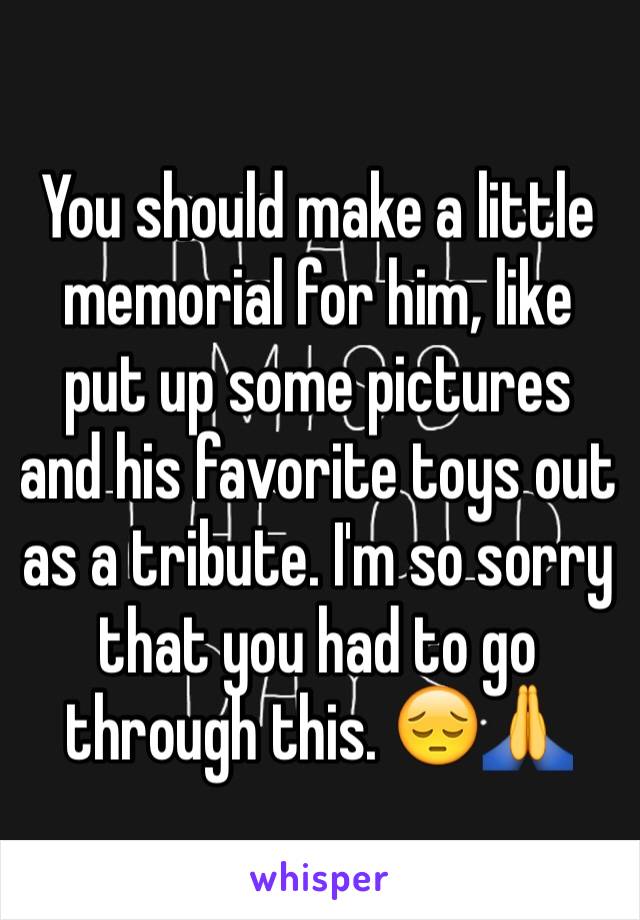 You should make a little memorial for him, like put up some pictures and his favorite toys out as a tribute. I'm so sorry that you had to go through this. 😔🙏
