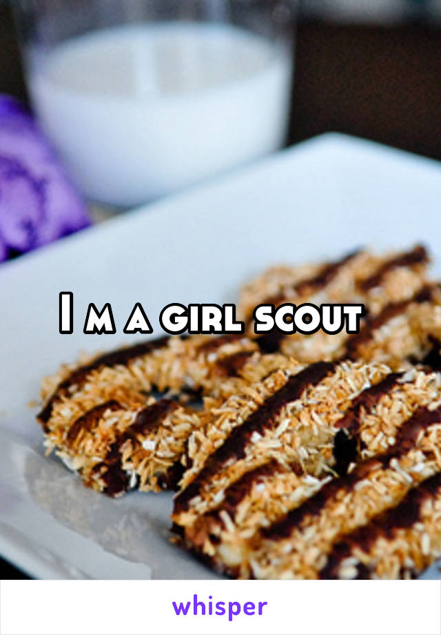 I m a girl scout  