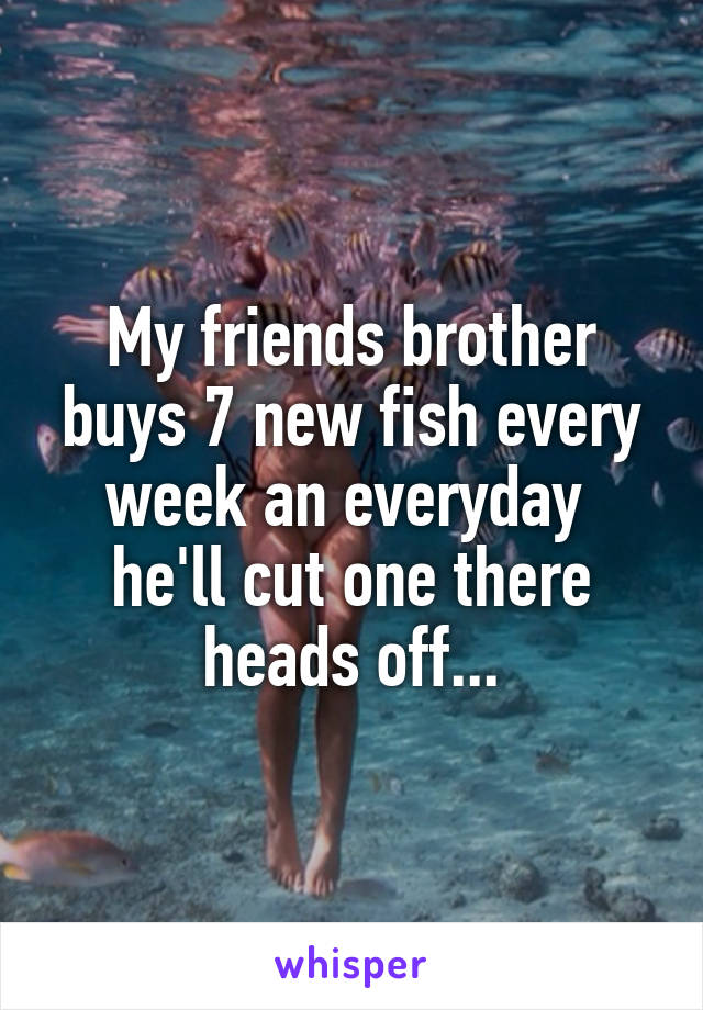 My friends brother buys 7 new fish every week an everyday  he'll cut one there heads off...