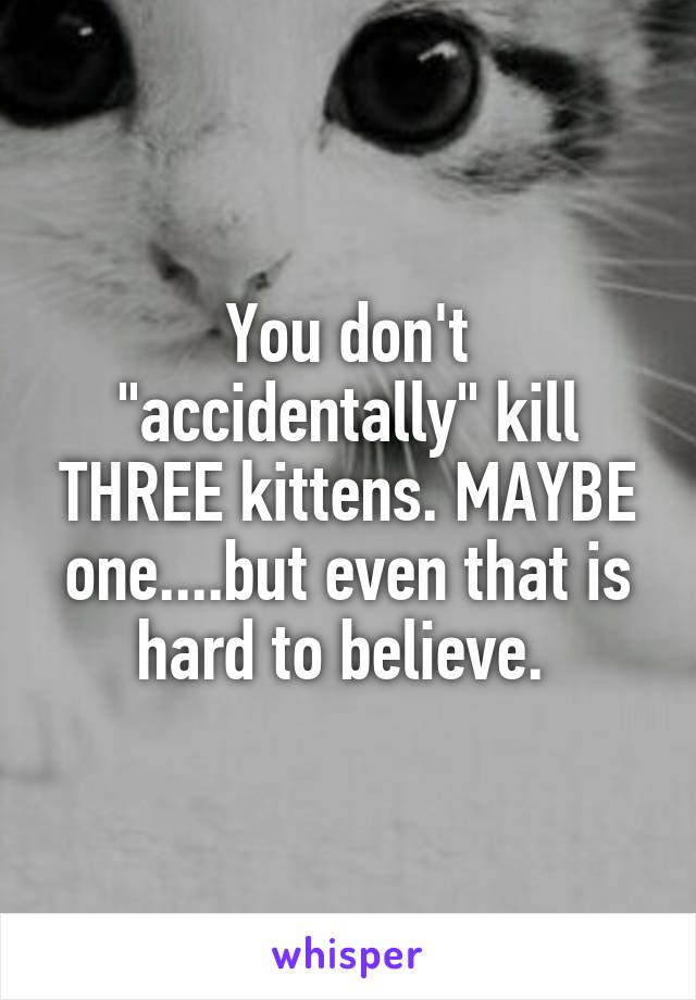 You don't "accidentally" kill THREE kittens. MAYBE one....but even that is hard to believe. 