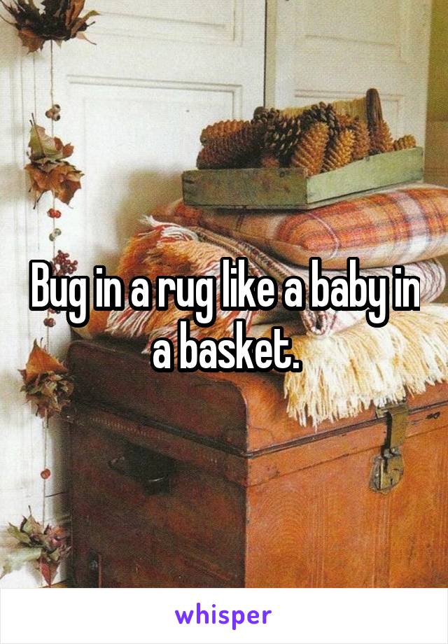 Bug in a rug like a baby in a basket.