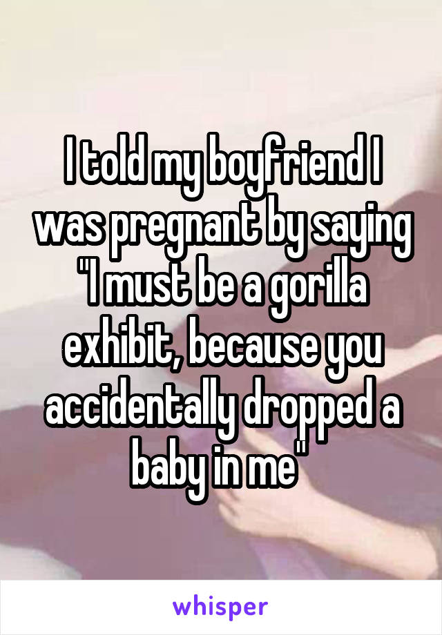 I told my boyfriend I was pregnant by saying "I must be a gorilla exhibit, because you accidentally dropped a baby in me" 