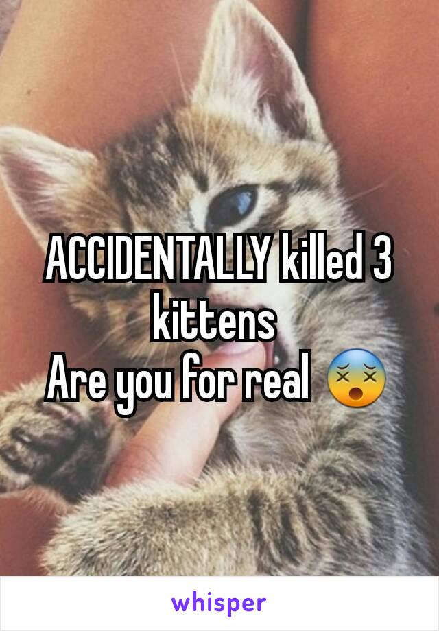 ACCIDENTALLY killed 3 kittens 
Are you for real 😵