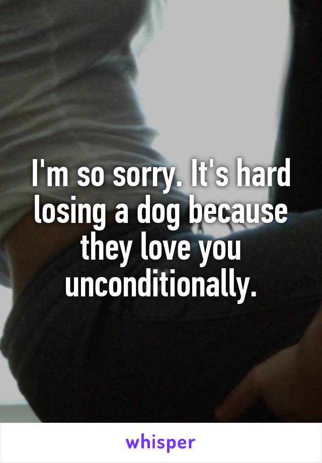 I'm so sorry. It's hard losing a dog because they love you unconditionally.