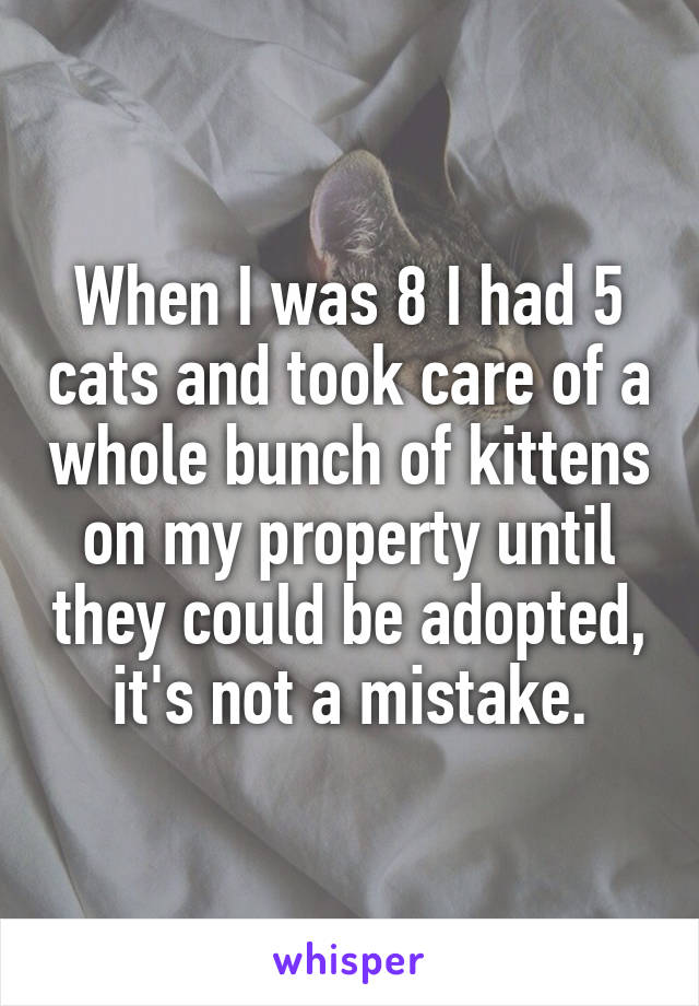 When I was 8 I had 5 cats and took care of a whole bunch of kittens on my property until they could be adopted, it's not a mistake.