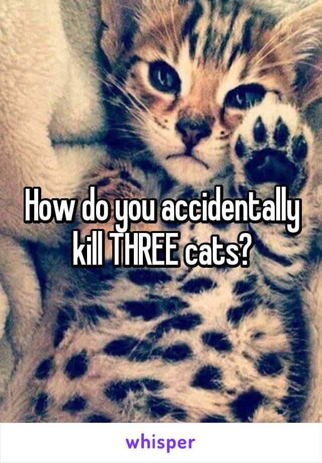 How do you accidentally kill THREE cats?