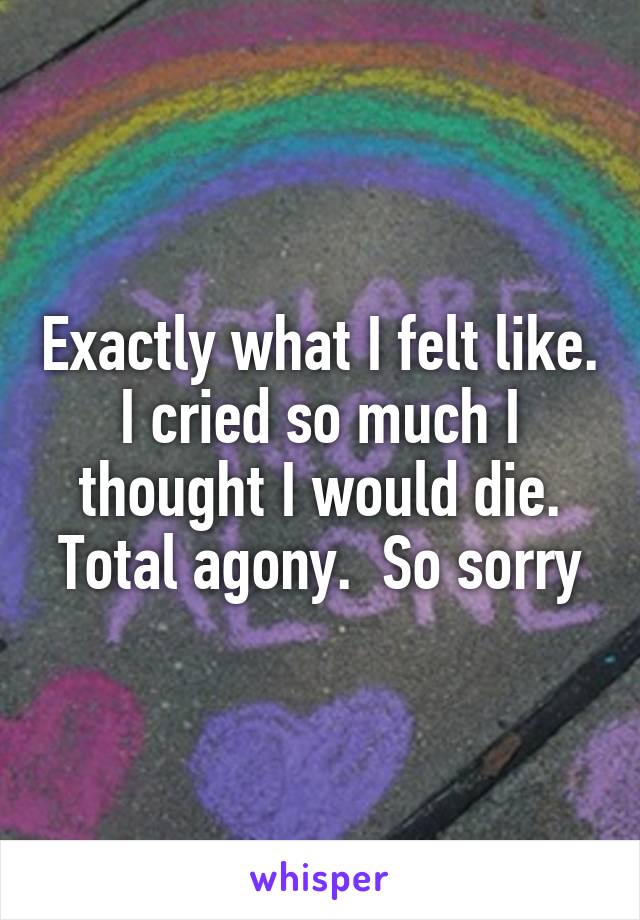 Exactly what I felt like. I cried so much I thought I would die. Total agony.  So sorry