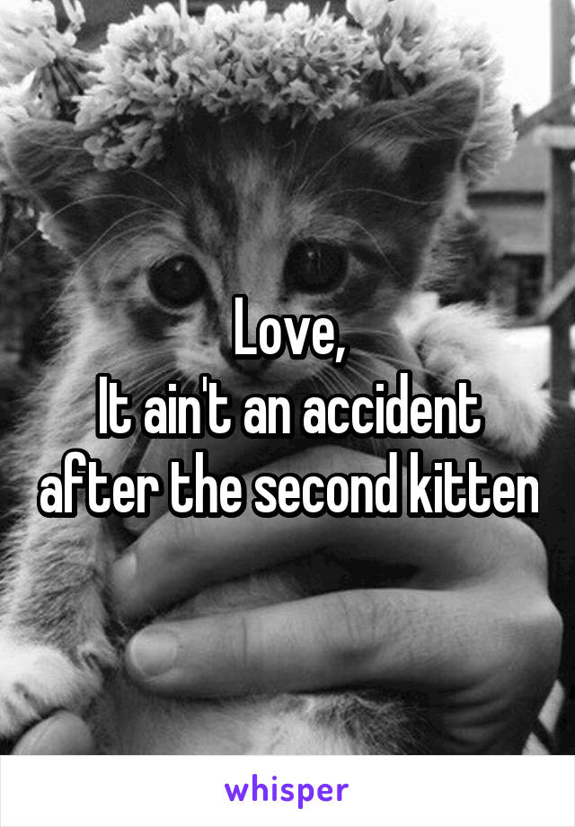 Love,
It ain't an accident after the second kitten