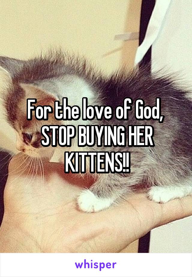For the love of God,  STOP BUYING HER KITTENS!!