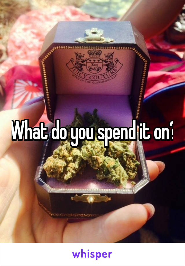 What do you spend it on?