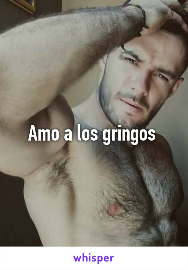 Amo a los gringos 