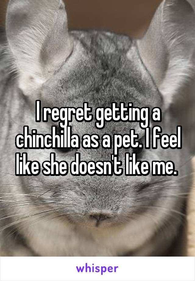 I regret getting a chinchilla as a pet. I feel like she doesn't like me. 