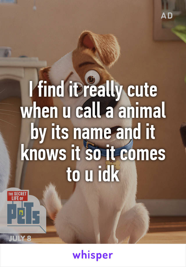 I find it really cute when u call a animal by its name and it knows it so it comes to u idk