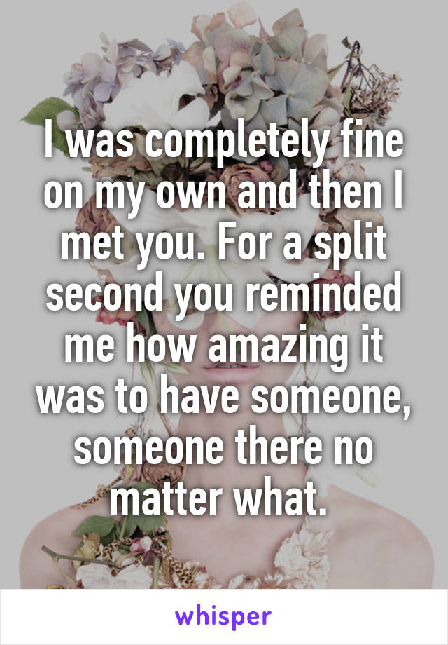 I was completely fine on my own and then I met you. For a split second you reminded me how amazing it was to have someone, someone there no matter what. 