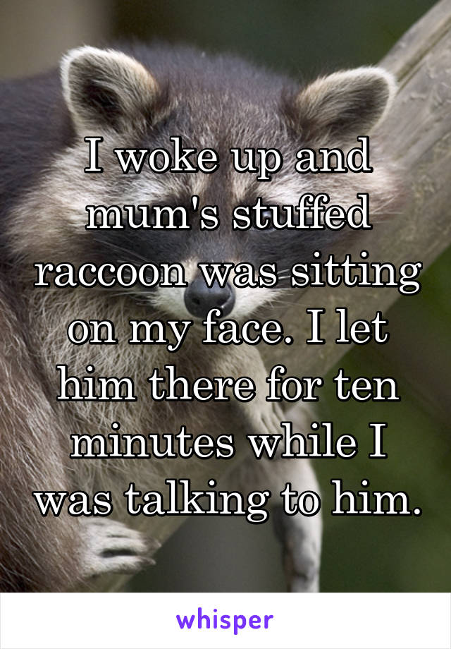 I woke up and mum's stuffed raccoon was sitting on my face. I let him there for ten minutes while I was talking to him.