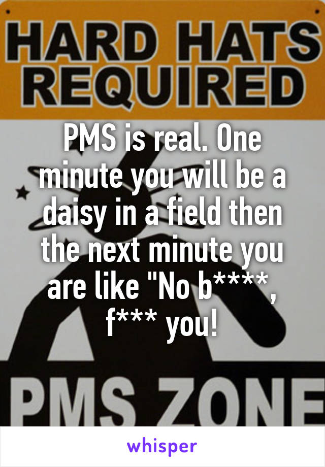 PMS is real. One minute you will be a daisy in a field then the next minute you are like "No b****, f*** you!