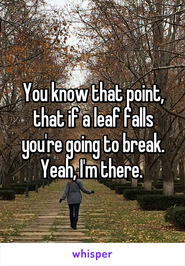 You know that point, that if a leaf falls you're going to break. Yeah, I'm there. 