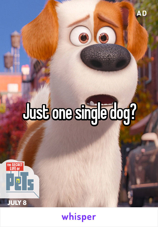 Just one single dog?