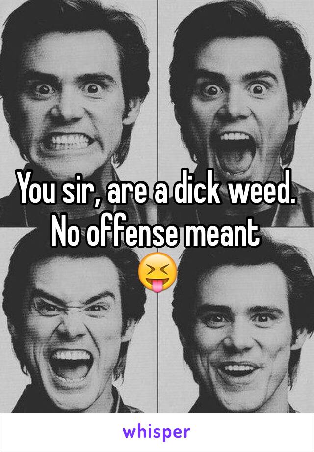 You sir, are a dick weed.
No offense meant
😝