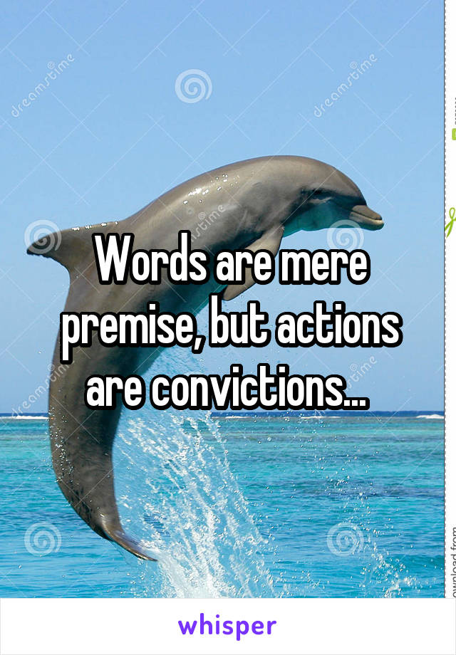 Words are mere premise, but actions are convictions... 