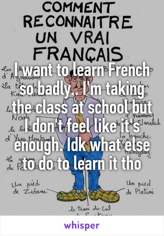 I want to learn French so badly.. I'm taking the class at school but I don't feel like it's enough. Idk what else to do to learn it tho