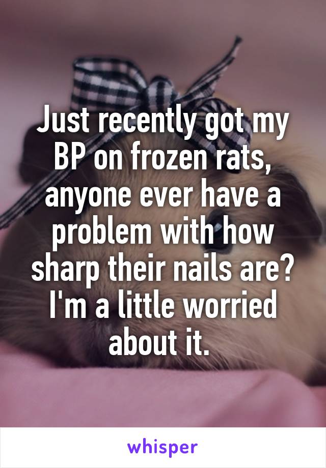 Just recently got my BP on frozen rats, anyone ever have a problem with how sharp their nails are? I'm a little worried about it. 