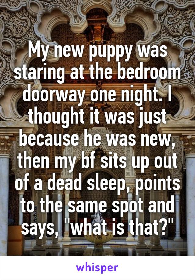 My new puppy was staring at the bedroom doorway one night. I thought it was just because he was new, then my bf sits up out of a dead sleep, points to the same spot and says, "what is that?"