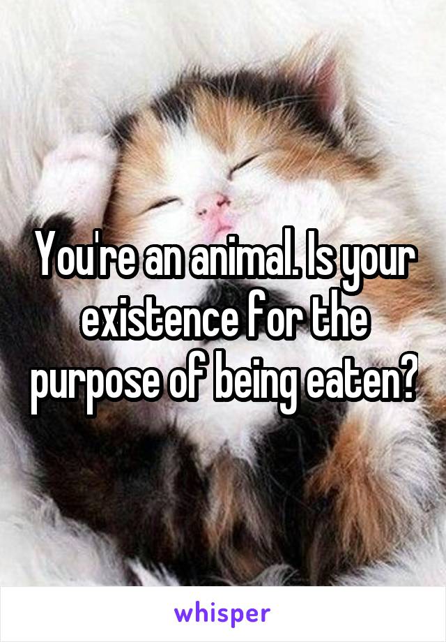 You're an animal. Is your existence for the purpose of being eaten?