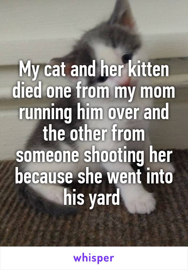 My cat and her kitten died one from my mom running him over and the other from someone shooting her because she went into his yard 