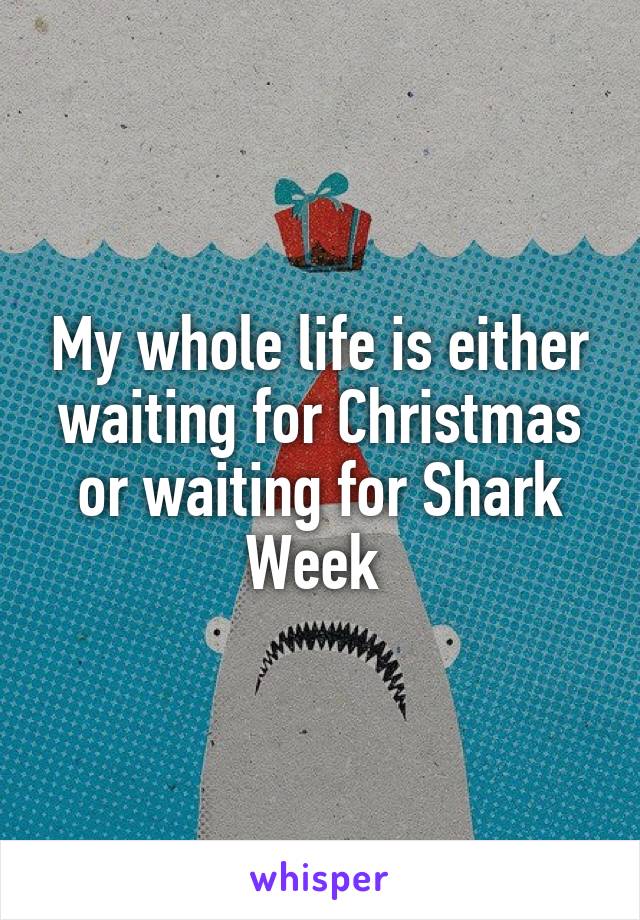 My whole life is either waiting for Christmas or waiting for Shark Week 