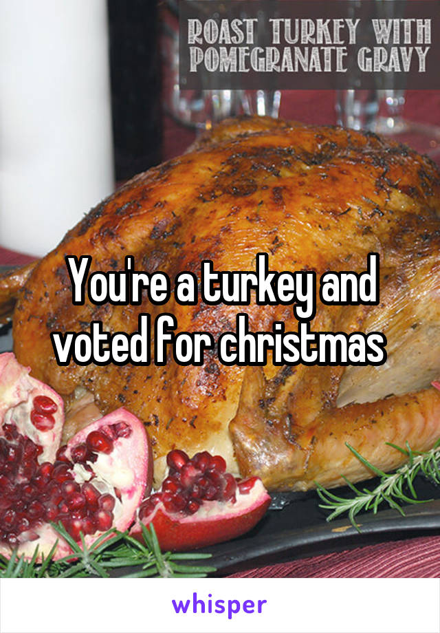 You're a turkey and voted for christmas 