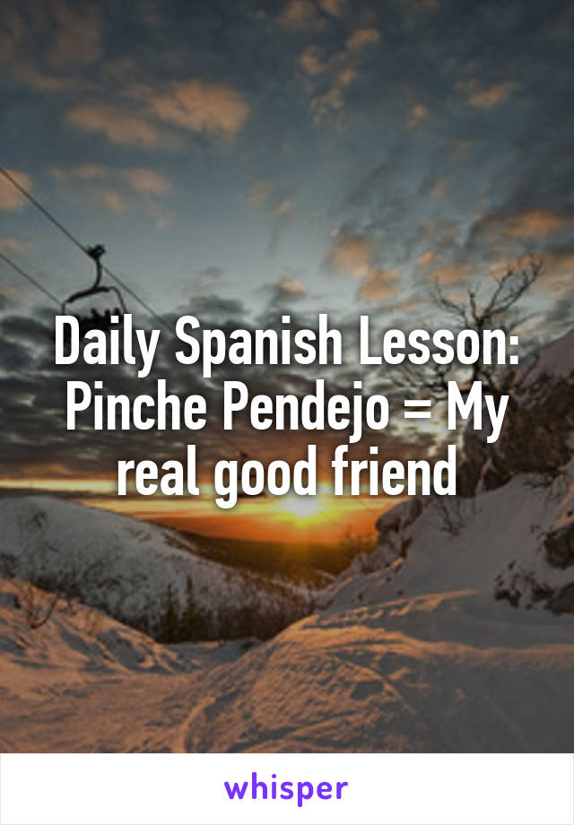 Daily Spanish Lesson: Pinche Pendejo = My real good friend