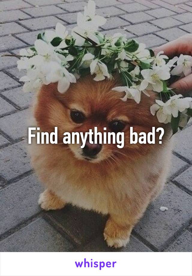 Find anything bad?