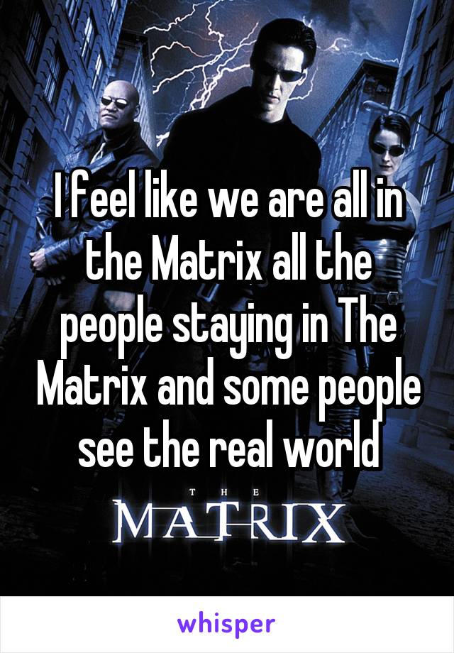 I feel like we are all in the Matrix all the people staying in The Matrix and some people see the real world