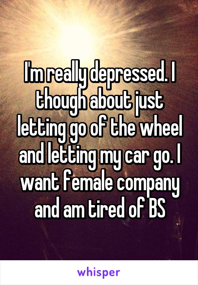 I'm really depressed. I though about just letting go of the wheel and letting my car go. I want female company and am tired of BS