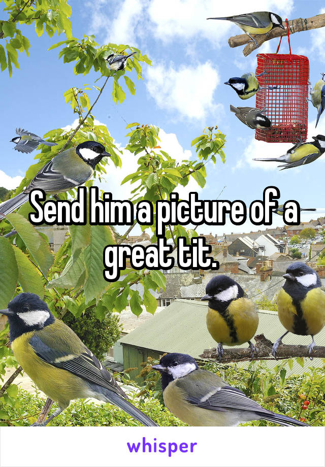 Send him a picture of a great tit. 