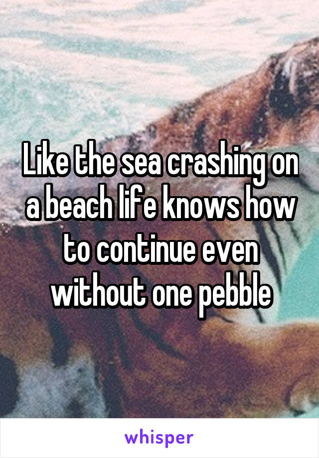 Like the sea crashing on a beach life knows how to continue even without one pebble