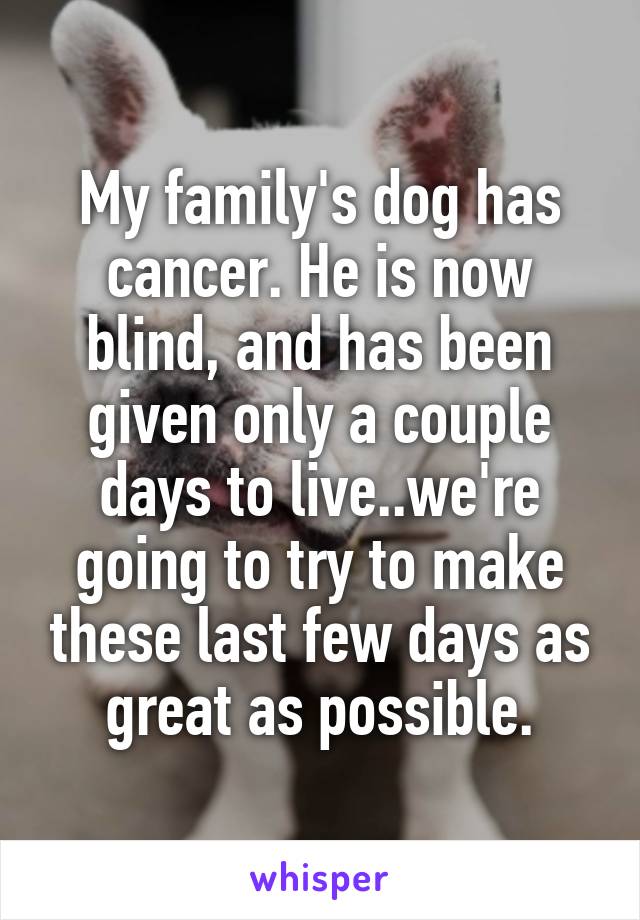 My family's dog has cancer. He is now blind, and has been given only a couple days to live..we're going to try to make these last few days as great as possible.