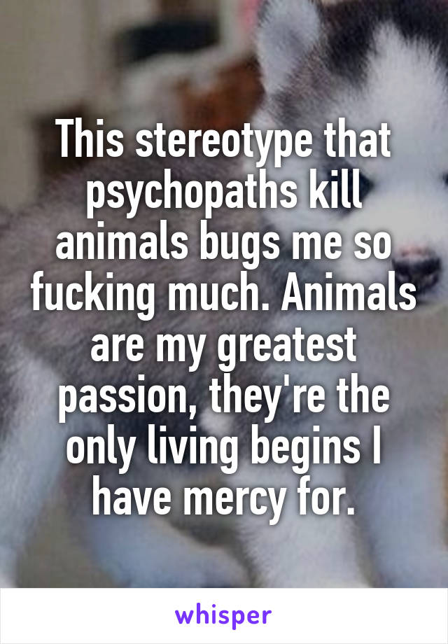 This stereotype that psychopaths kill animals bugs me so fucking much. Animals are my greatest passion, they're the only living begins I have mercy for.