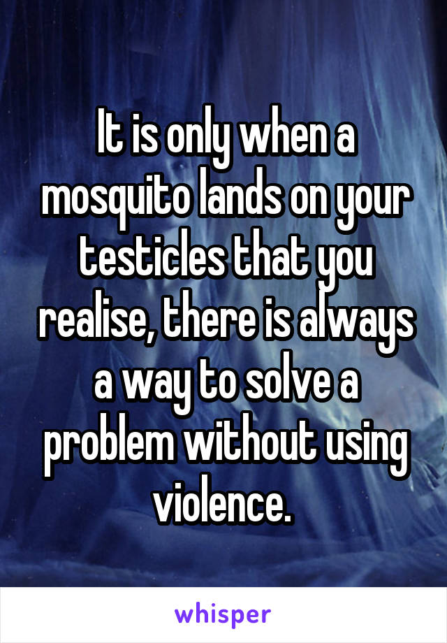 It is only when a mosquito lands on your testicles that you realise, there is always a way to solve a problem without using violence. 