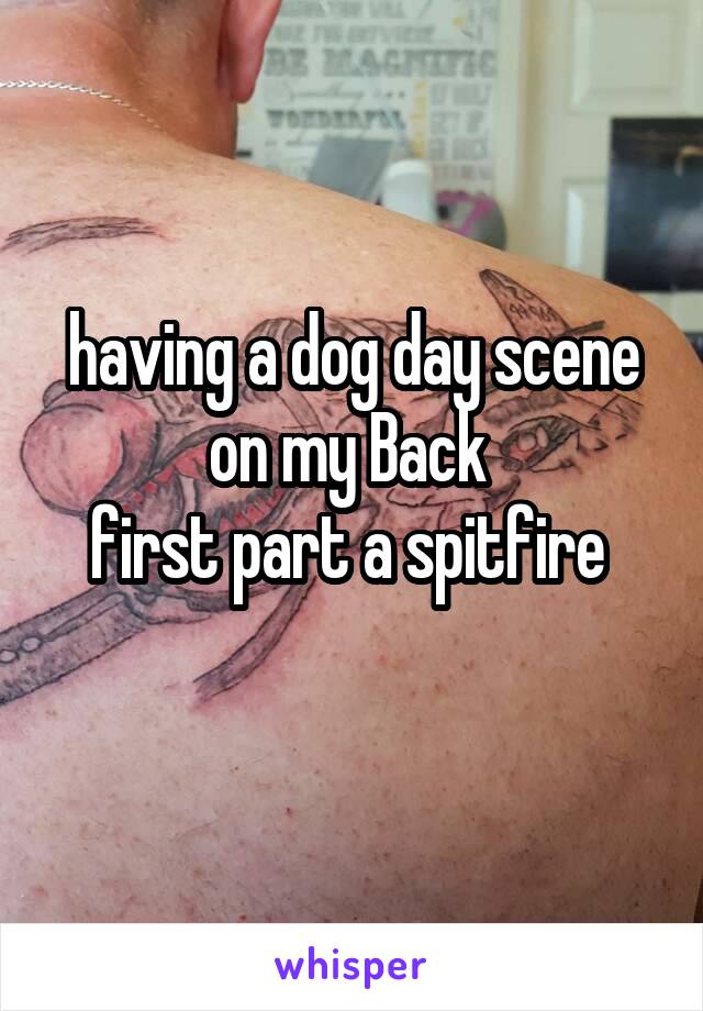 having a dog day scene on my Back 
first part a spitfire 
