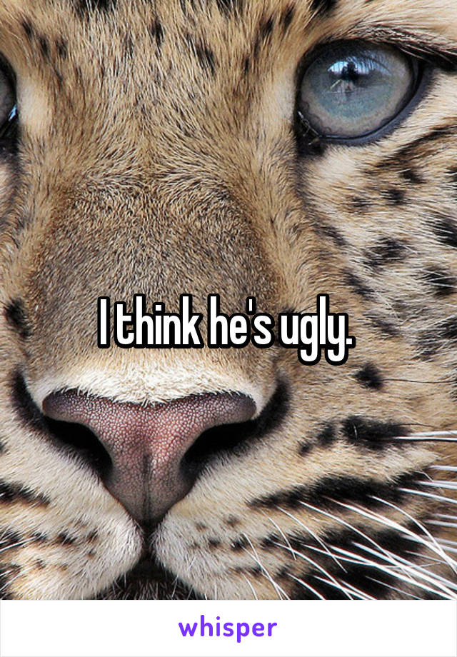 I think he's ugly. 