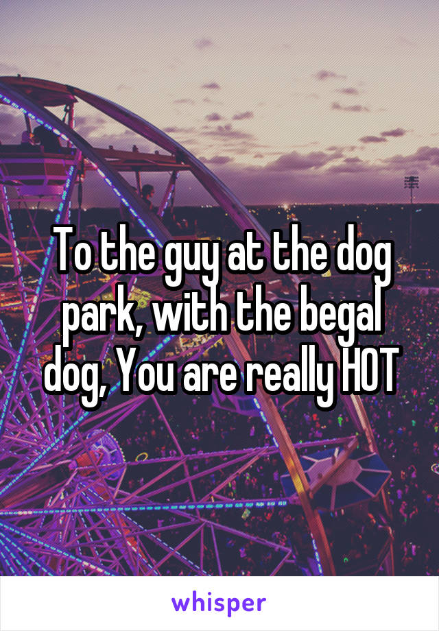 To the guy at the dog park, with the begal dog, You are really HOT