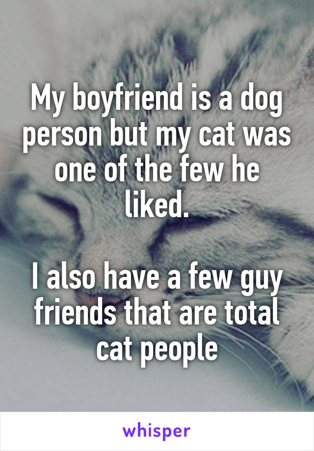 My boyfriend is a dog person but my cat was one of the few he liked.

I also have a few guy friends that are total cat people