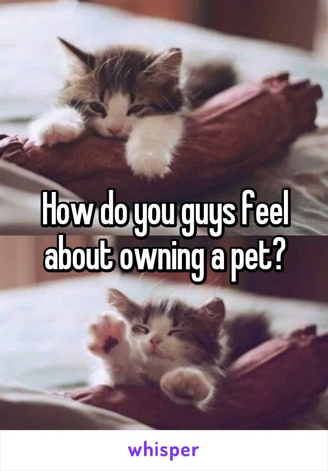 How do you guys feel about owning a pet?