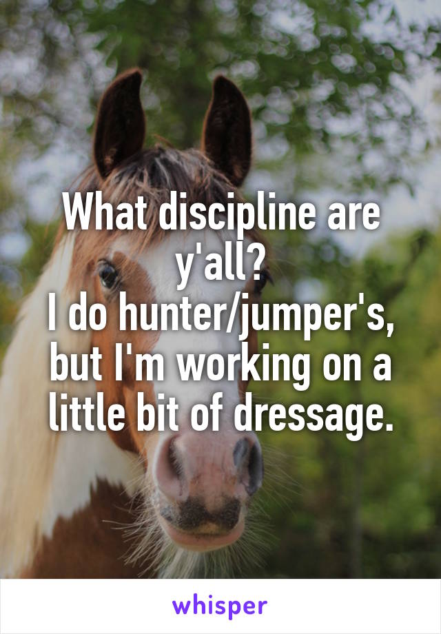 What discipline are y'all?
I do hunter/jumper's, but I'm working on a little bit of dressage.