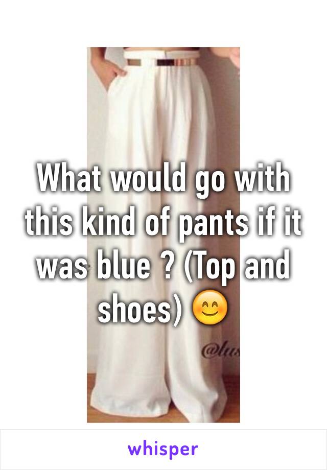 What would go with this kind of pants if it was blue ? (Top and shoes) 😊