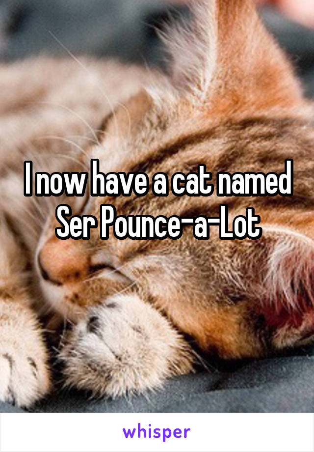 I now have a cat named Ser Pounce-a-Lot
