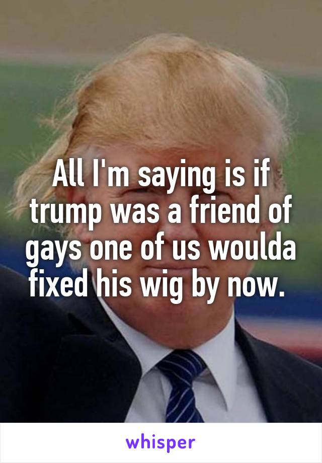 All I'm saying is if trump was a friend of gays one of us woulda fixed his wig by now. 