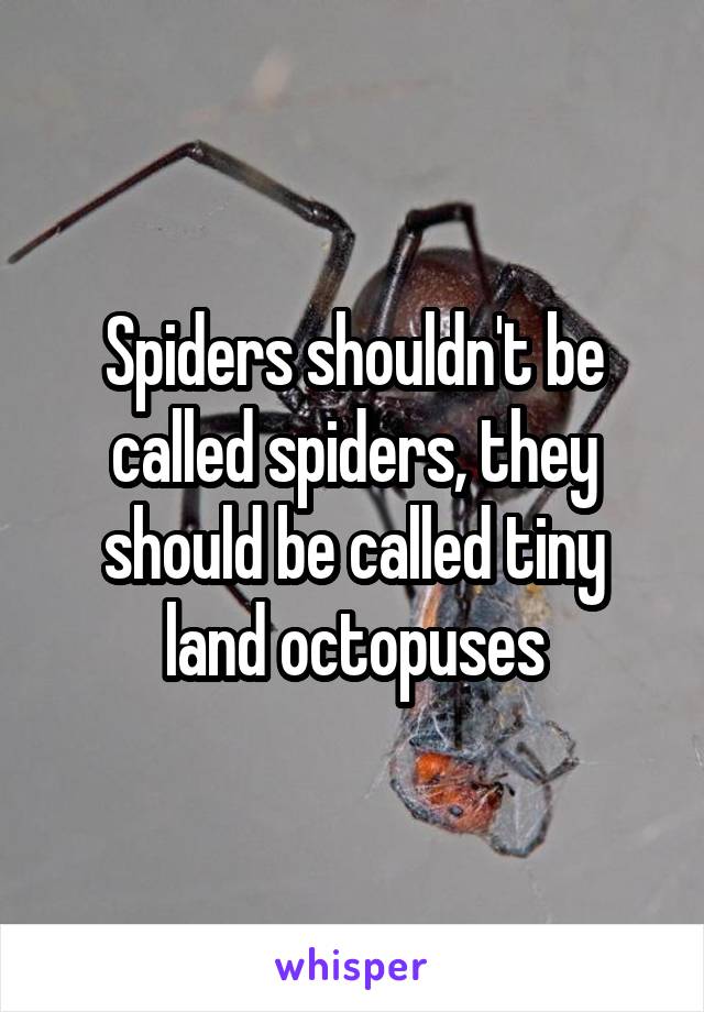 Spiders shouldn't be called spiders, they should be called tiny land octopuses